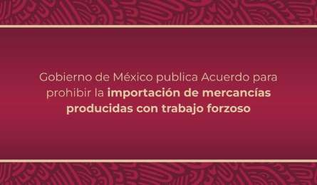 Refuerzan lucha por erradicar trabajo forzoso en cadenas globales de suministro