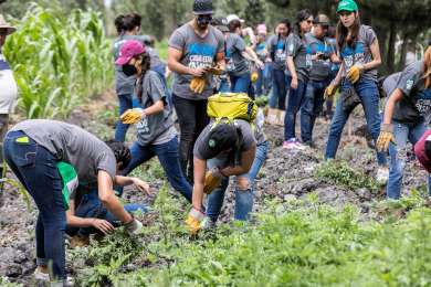 Abril, mes en el que Starbucks México realizará actividades en pro del medio ambiente