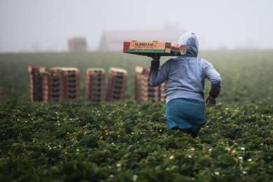 Avanza dictamen para mejorar condiciones laborales a trabajadores del campo