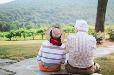 Aprueban criterio para orientar a patrones o sujetos obligados sobre la exclusin de pensiones