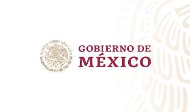 México admite solicitud de revisión presentada por EUA sobre presunta denegación de derechos colectivos en Mas Air
