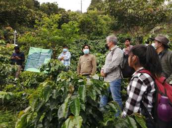 Citibanamex otorga ms de 70 mdp para pequeos productores de caf