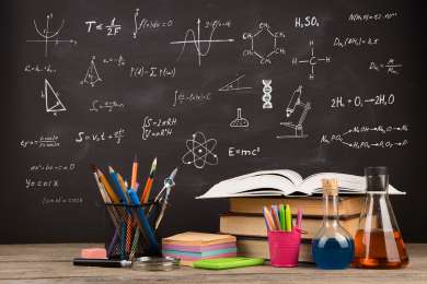 Persisten deficiencias en habilidades intelectuales de los estudiantes durante su trnsito por la educacin bsica: IBD