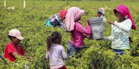 En Mxico 7.1 por ciento de los menores realizan actividades que ponen en riesgo su bienestar