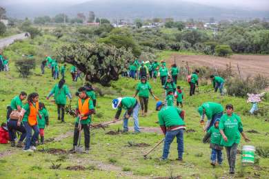 Reforestacin en marcha: Iberdrola Mxico planta 8.000 rboles en cinco estados