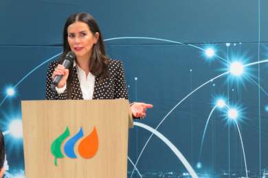 Innovacin y sostenibilidad: Iberdrola Mxico avanza hacia la descarbonizacin de la industria