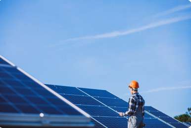 Bachoco impulsa la sostenibilidad con proyectos solares en ms de 200 centros de operacin