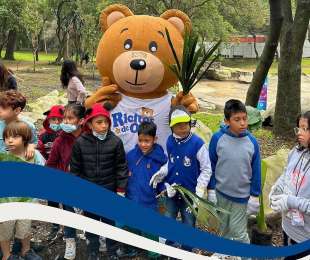 Grupo Grisi se suma por quinto ao consecutivo al Reciclatn de Fundacin Teletn