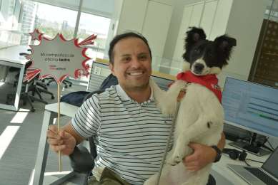Crece el nmero de empresas pet friendly en Mxico: 42 % ya permiten mascotas en la oficina