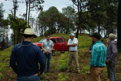 APEAM impulsa la reforestacin en el cerro de Jicaln como parte de su Programa de Conservacin de Bosques