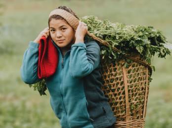 Mxico y Canad fortalecen condiciones laborales de trabajadores agrcolas